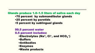 Glands produce 1.0–1.5 liters of saliva each day
70 percent by submandibular glands
25 percent by parotids
5 percent by sublingual glands
99.5 percent water
0.5 percent includes:
Electrolytes (Na+, Cl−, and HCO3
−)
Buffers
Antibodies
Enzymes
Waste products
 