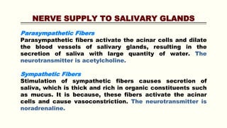 NERVE SUPPLY TO SALIVARY GLANDS
Parasympathetic Fibers
Parasympathetic fibers activate the acinar cells and dilate
the blood vessels of salivary glands, resulting in the
secretion of saliva with large quantity of water. The
neurotransmitter is acetylcholine.
Sympathetic Fibers
Stimulation of sympathetic fibers causes secretion of
saliva, which is thick and rich in organic constituents such
as mucus. It is because, these fibers activate the acinar
cells and cause vasoconstriction. The neurotransmitter is
noradrenaline.
 
