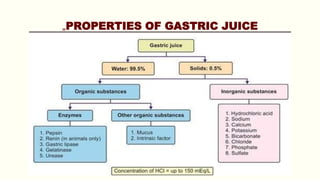 „PROPERTIES OF GASTRIC JUICE
 