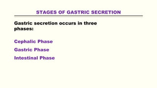STAGES OF GASTRIC SECRETION
Gastric secretion occurs in three
phases:
Cephalic Phase
Gastric Phase
Intestinal Phase
 