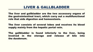 LIVER & GALLBLADDER
The liver and gallbladder are the two accessory organs of
the gastrointestinal tract, which carry out a multifunctional
role that aids digestion and homeostasis.
The liver consists of several lobes and receives its blood
supply mainly from the hepatic portal vein.
The gallbladder is found inferiorly to the liver, being
involved in the storage and release of bile into
the duodenum.
 