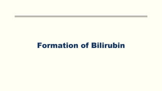 Formation of Bilirubin
 