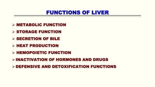 FUNCTIONS OF LIVER
 METABOLIC FUNCTION
 STORAGE FUNCTION
 SECRETION OF BILE
 HEAT PRODUCTION
 HEMOPOIETIC FUNCTION
INACTIVATION OF HORMONES AND DRUGS
DEFENSIVE AND DETOXIFICATION FUNCTIONS
 