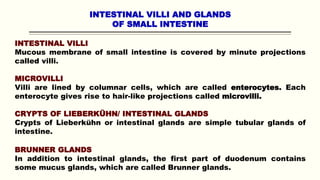 INTESTINAL VILLI AND GLANDS
OF SMALL INTESTINE
INTESTINAL VILLI
Mucous membrane of small intestine is covered by minute projections
called villi.
MICROVILLI
Villi are lined by columnar cells, which are called enterocytes. Each
enterocyte gives rise to hair-like projections called microvilli.
CRYPTS OF LIEBERKÜHN/ INTESTINAL GLANDS
Crypts of Lieberkühn or intestinal glands are simple tubular glands of
intestine.
BRUNNER GLANDS
In addition to intestinal glands, the first part of duodenum contains
some mucus glands, which are called Brunner glands.
 