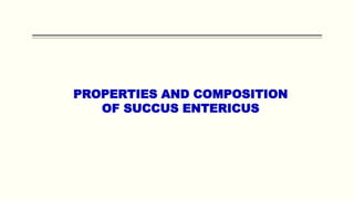 PROPERTIES AND COMPOSITION
OF SUCCUS ENTERICUS
 