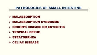PATHOLOGIES OF SMALL INTESTINE
 MALABSORPTION
 MALABSORPTION SYNDROME
 CROHN’S DISEASE OR ENTERITIS
 TROPICAL SPRUE
 STEATORRHEA
 CELIAC DISEASE
 