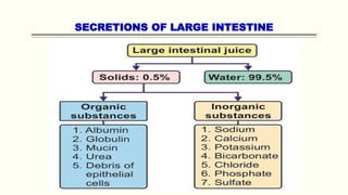 SECRETIONS OF LARGE INTESTINE
 