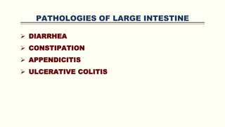 PATHOLOGIES OF LARGE INTESTINE
 DIARRHEA
 CONSTIPATION
 APPENDICITIS
 ULCERATIVE COLITIS
 
