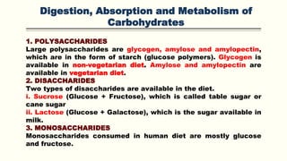 Digestion, Absorption and Metabolism of
Carbohydrates
1. POLYSACCHARIDES
Large polysaccharides are glycogen, amylose and amylopectin,
which are in the form of starch (glucose polymers). Glycogen is
available in non-vegetarian diet. Amylose and amylopectin are
available in vegetarian diet.
2. DISACCHARIDES
Two types of disaccharides are available in the diet.
i. Sucrose (Glucose + Fructose), which is called table sugar or
cane sugar
ii. Lactose (Glucose + Galactose), which is the sugar available in
milk.
3. MONOSACCHARIDES
Monosaccharides consumed in human diet are mostly glucose
and fructose.
 