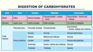 DIGESTION OF CARBOHYDRATES
 
