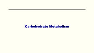 Carbohydrate Metabolism
 