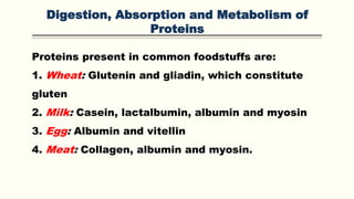 Digestion, Absorption and Metabolism of
Proteins
Proteins present in common foodstuffs are:
1. Wheat: Glutenin and gliadin, which constitute
gluten
2. Milk: Casein, lactalbumin, albumin and myosin
3. Egg: Albumin and vitellin
4. Meat: Collagen, albumin and myosin.
 