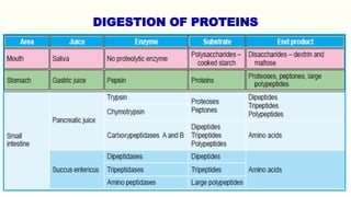 DIGESTION OF PROTEINS
 