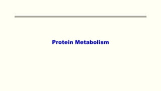 Protein Metabolism
 