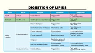 DIGESTION OF LIPIDS
 