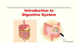 Introduction to
Digestive System
By
Dr. Faraza Javaid
 