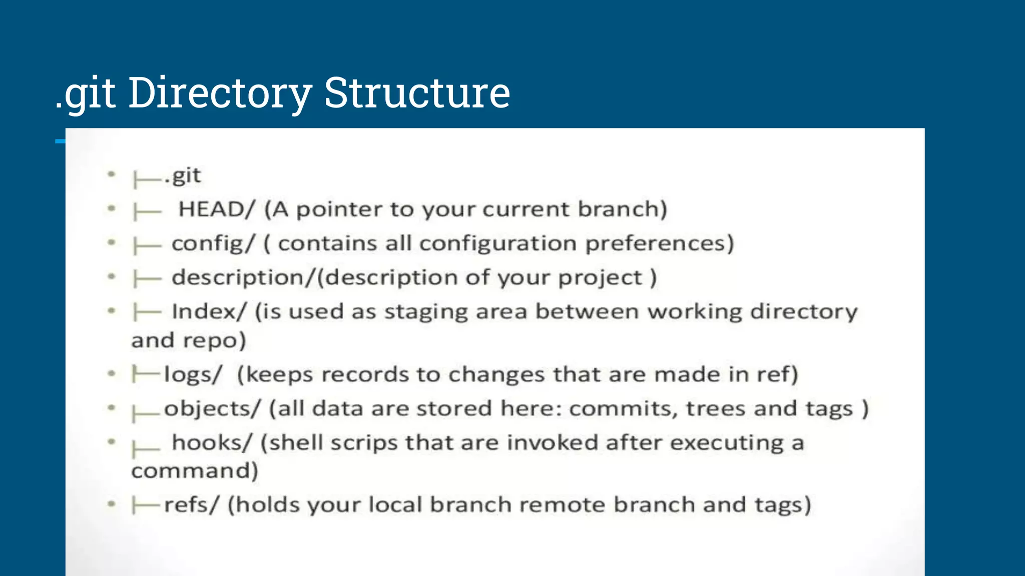 .git Directory Structure
 