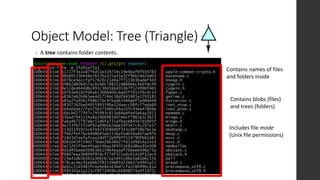 Object Model: Tree (Triangle)
• A tree contains folder contents.
Contains names of files
and folders inside
Contains blobs (files)
and trees (folders)
Includes file mode
(Unix file permissions)
 