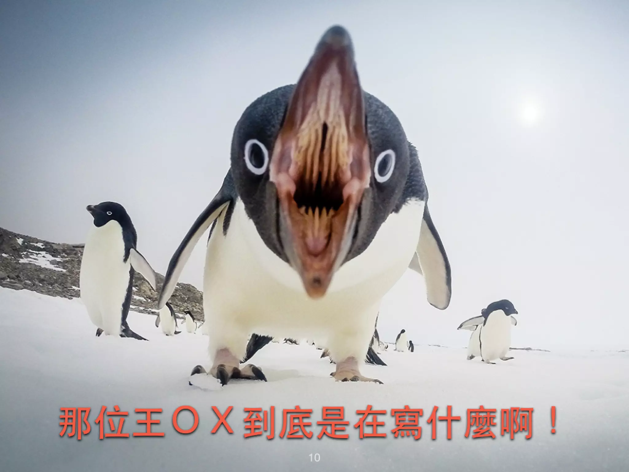 那位⺩王ＯＸ到底是在寫什麼啊！ 10 