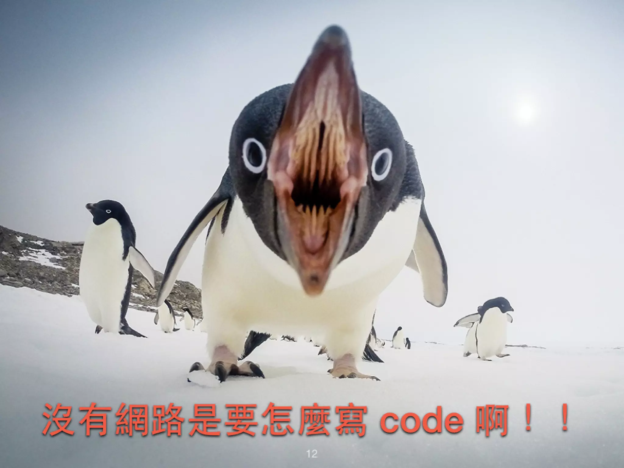 沒有網路是要怎麼寫 code 啊！！ 12 