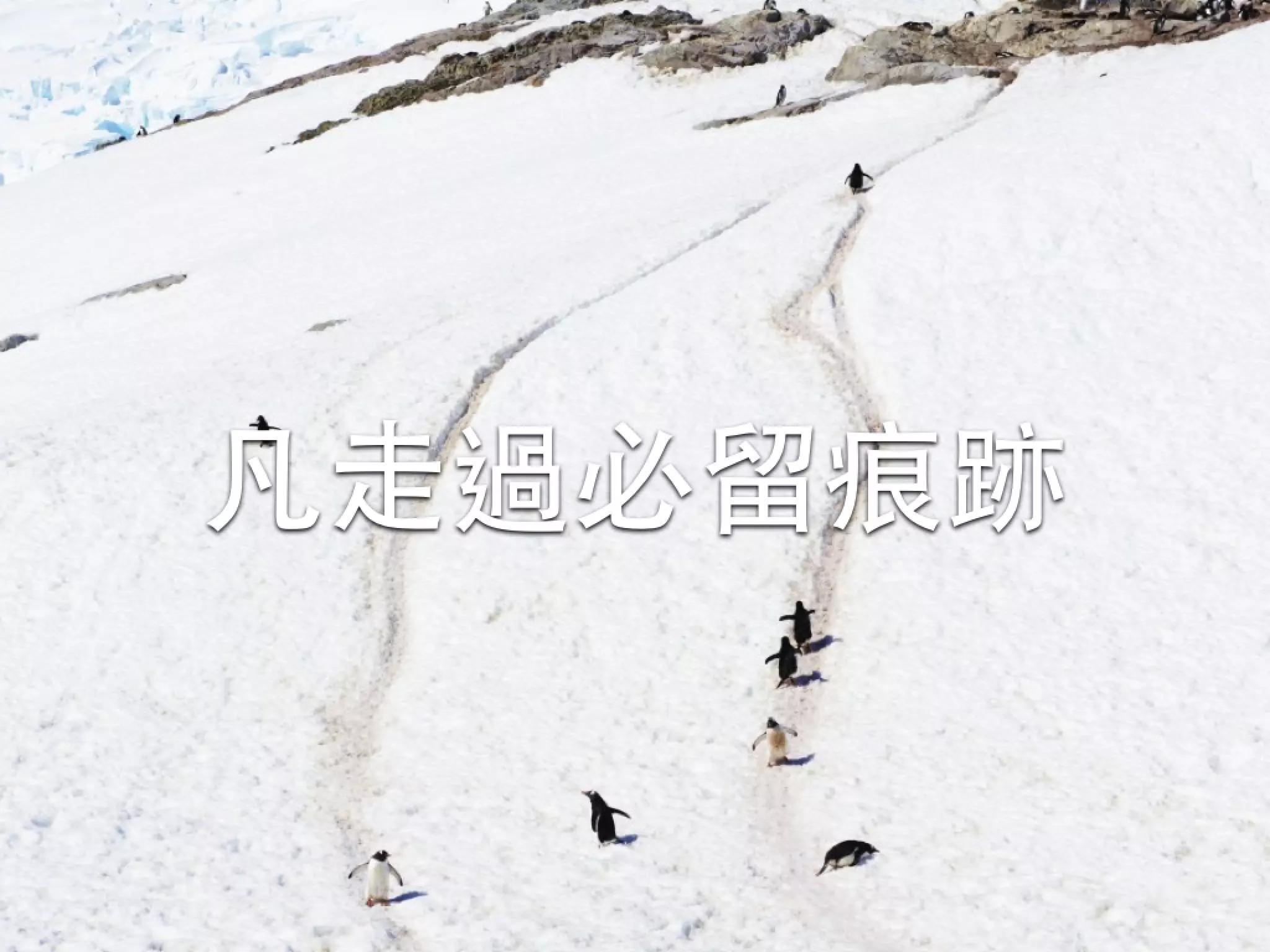 凡⾛走過必留痕跡 15 