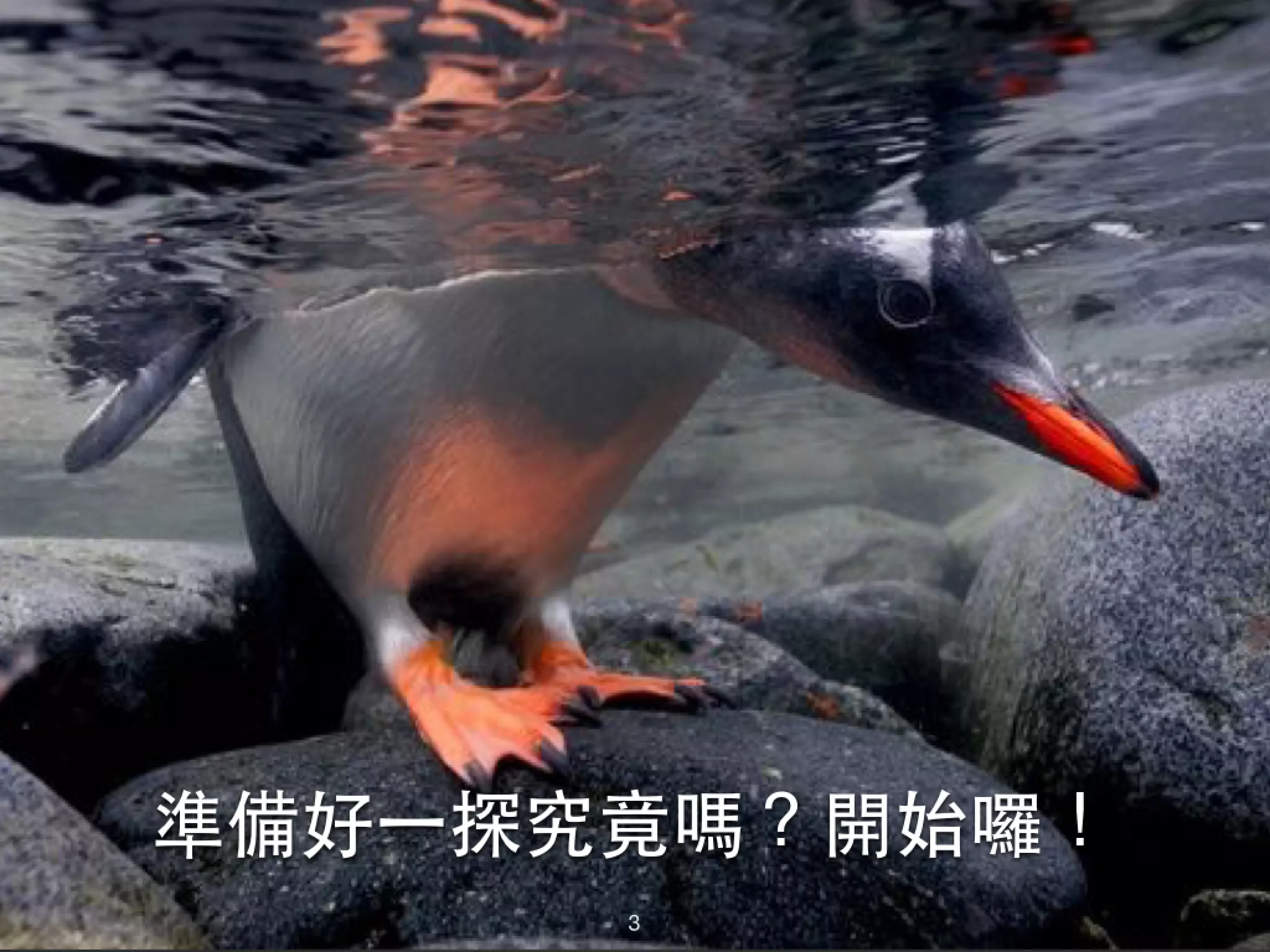 準備好⼀一探究竟嗎？開始囉！ 3 