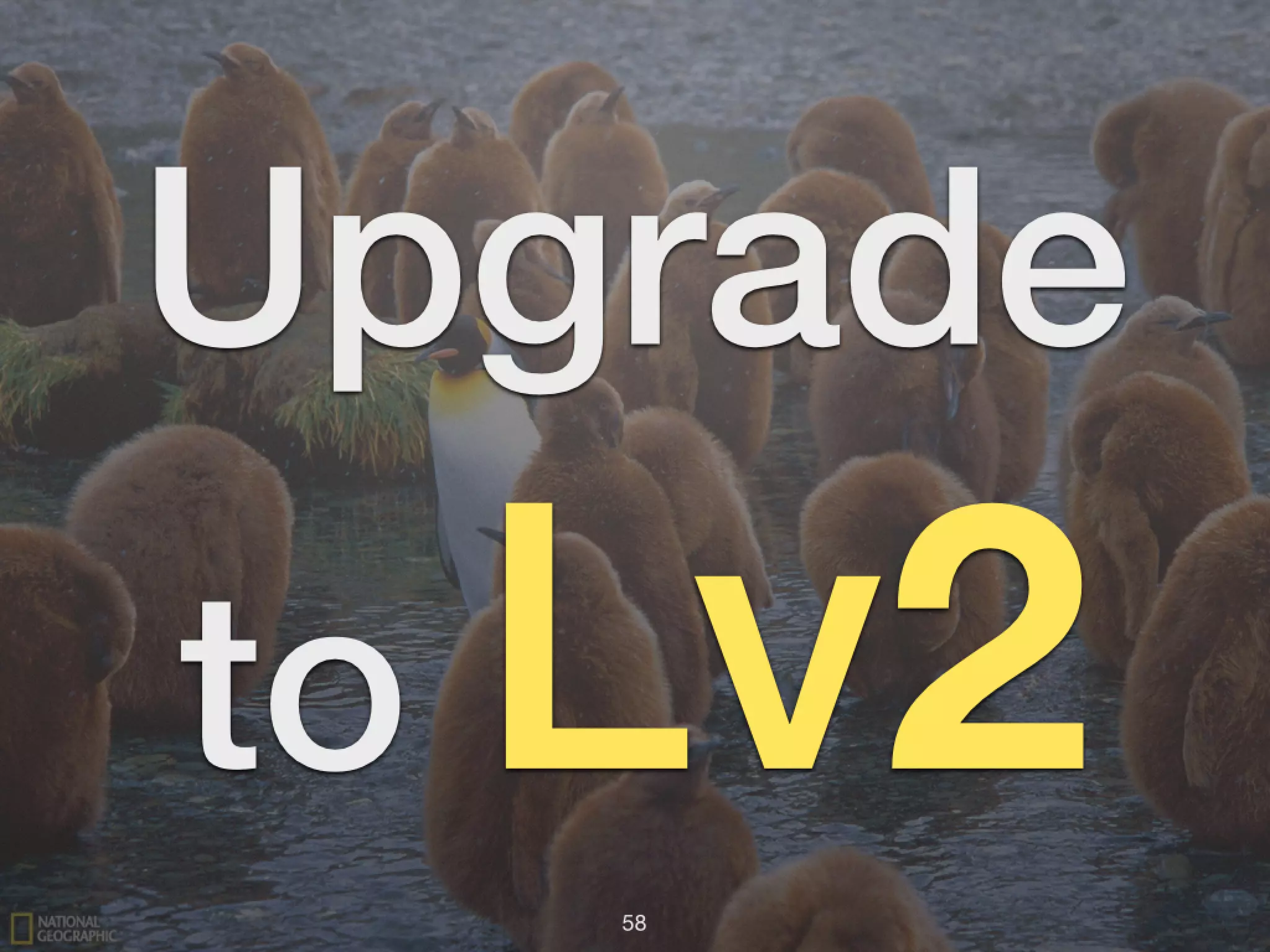 Upgrade to Lv258 