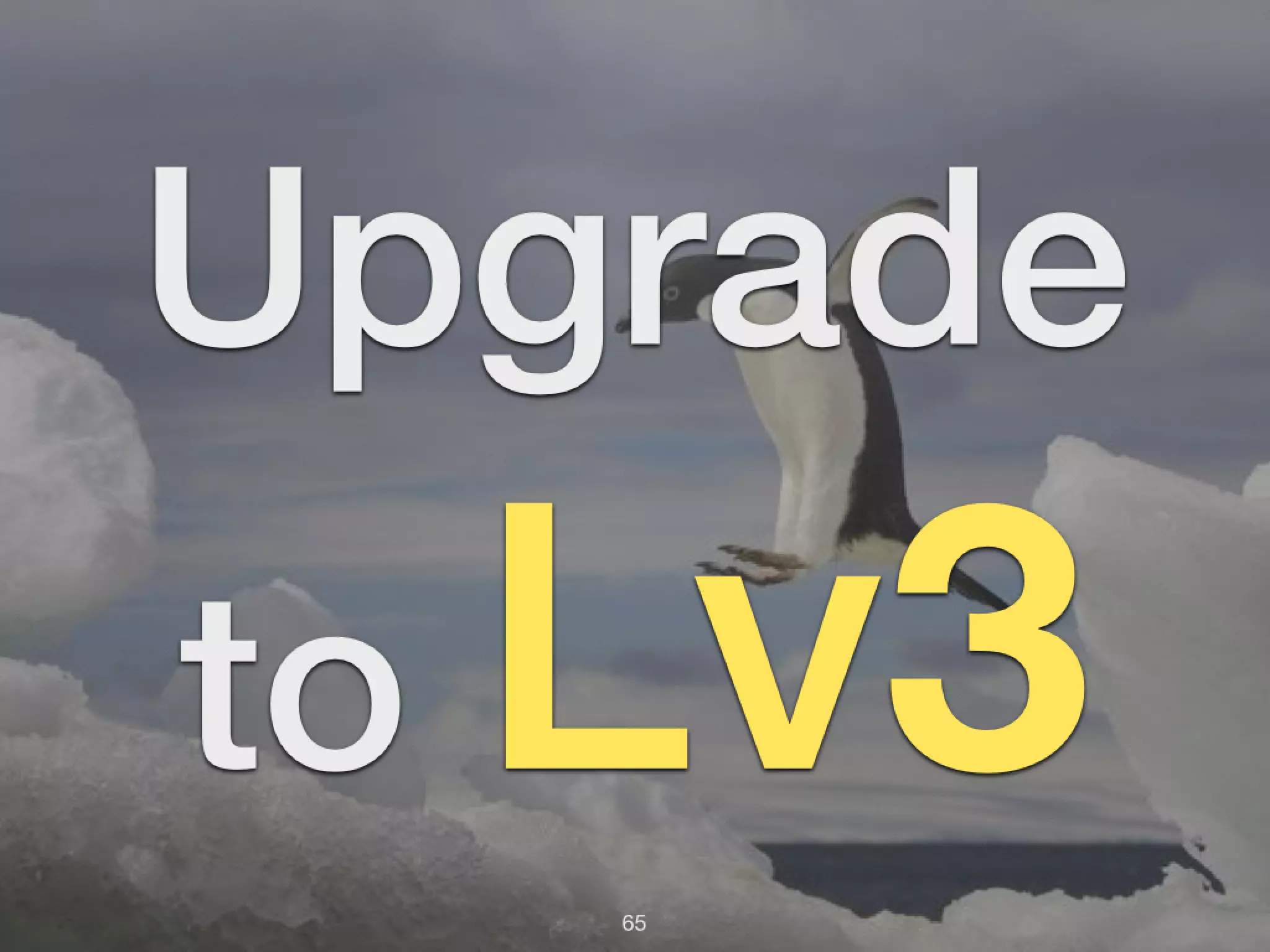 65 Upgrade to Lv3 