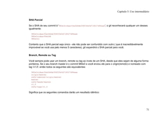 SHA Parcial
Se o SHA de seu commit é '980e3ccdaac54a0d4de358f3fe5d718027d96aae', o git reconhecerá qualquer um desses
igualmente:
980e3ccdaac54a0d4de358f3fe5d718027d96aae
980e3ccdaac54a0d4
980e3cc
Contanto que o SHA parcial seja único - ele não pode ser confundido com outro ( que é inacreditávelmente
improvável se você usa pelo menos 5 caracteres), git expandirá o SHA parcial para você.
Branch, Remote ou Tag
Você sempre pode usar um branch, remote ou tag ao invés de um SHA, desde que eles sejam de alguma forma
ponteiros. Se o seu branch master é o commit 980e3 e você enviou ele para o origin(remoto) e nomeado com
tag 'v1.0', então todos os seguintes são equivalentes:
980e3ccdaac54a0d4de358f3fe5d718027d96aae
origin/master
refs/remotes/origin/master
master
refs/heads/master
v1.0
refs/tags/v1.0
Significa que os seguintes comandos darão um resultado idêntico:
Capítulo 5: Uso intermediário
71
 