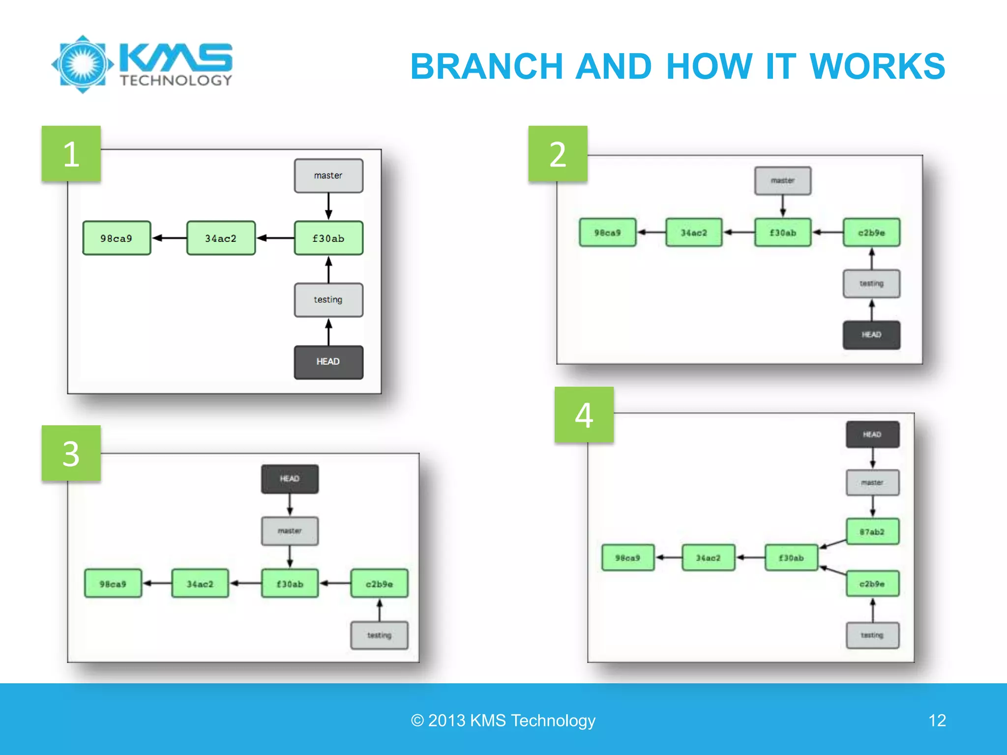 BRANCH AND HOW IT WORKS © 2013 KMS Technology 12 1 2 3 4 