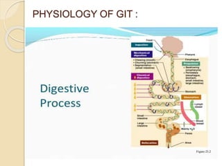 PHYSIOLOGY OF GIT :
 