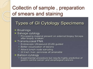 Collectin of sample , preparation
of smears and staining
 