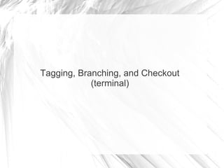 Tagging, Branching, and Checkout
(terminal)
 