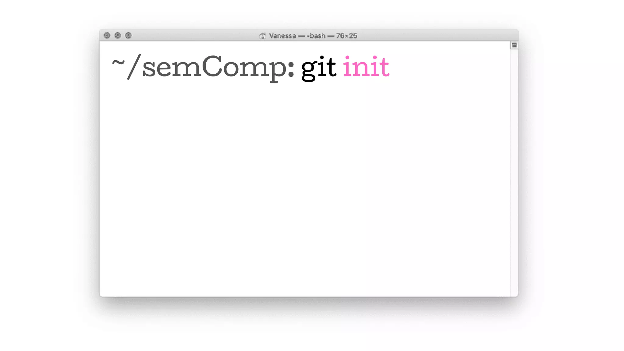 ~/semComp: git init
 