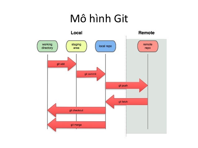 Những Lệnh Git Thường Sử Dụng Từ Cơ Bản Đến Nâng Cao | Topdev