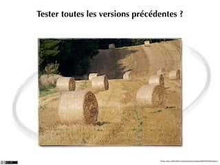 Tester toutes les versions précédentes ?




                                 Photo: http://www.ﬂickr.com/photos/tarchamps/2835943555/sizes/l/
 