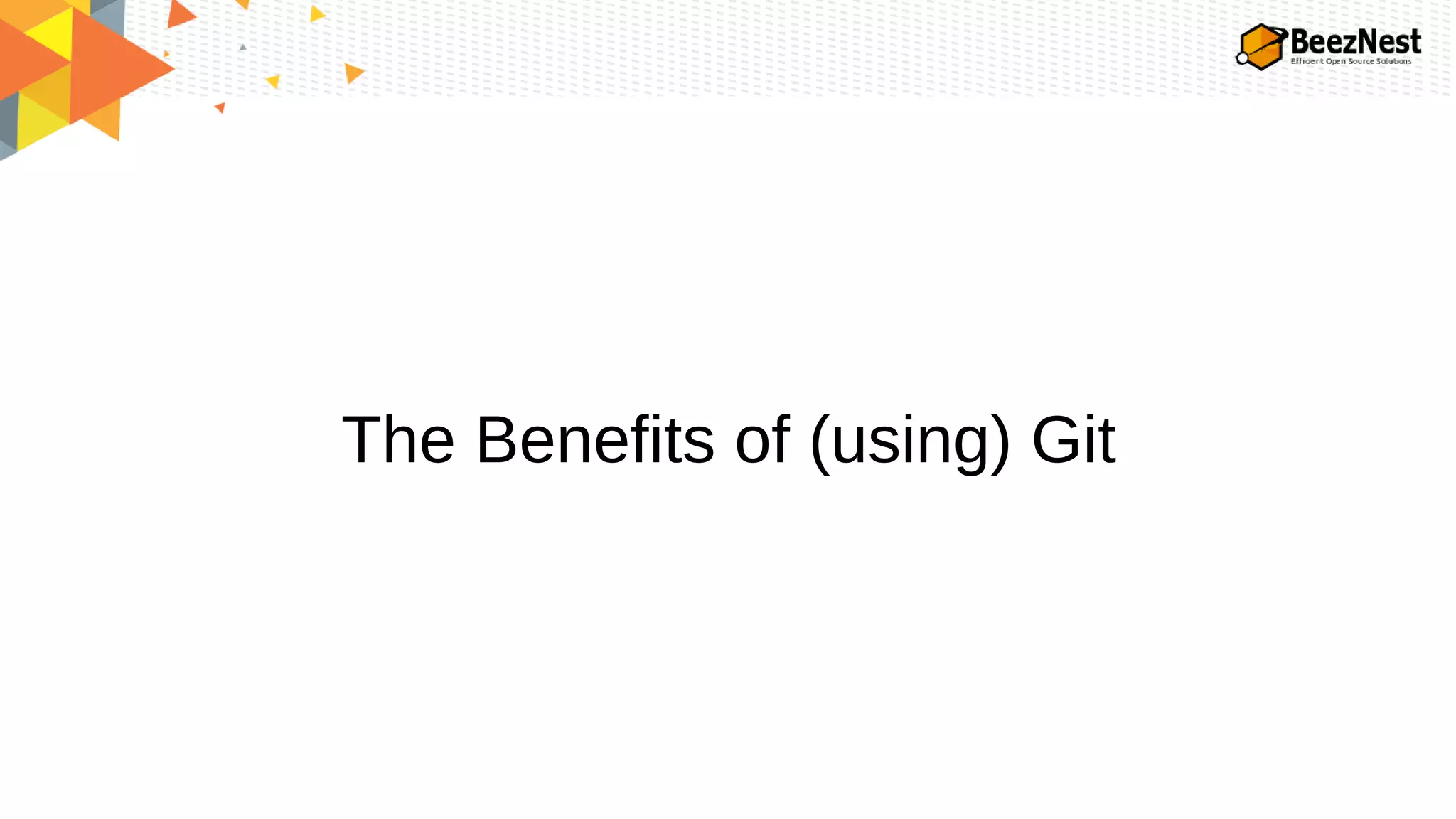 The Benefits of (using) Git
 