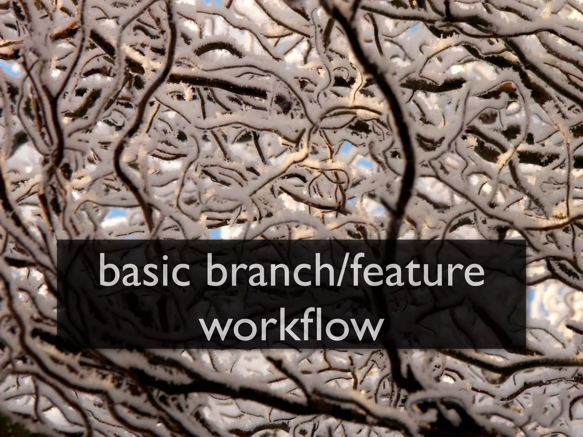 basic branch/feature
      workﬂow
 