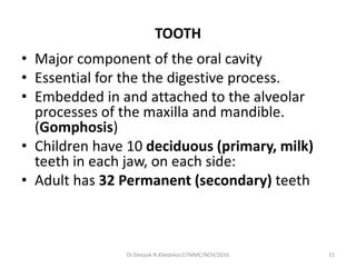 TOOTH
• Major component of the oral cavity
• Essential for the the digestive process.
• Embedded in and attached to the alveolar
processes of the maxilla and mandible.
(Gomphosis)
• Children have 10 deciduous (primary, milk)
teeth in each jaw, on each side:
• Adult has 32 Permanent (secondary) teeth
15Dr.Deepak N.Khedekar/LTMMC/NOV/2016
 