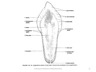 16Dr.Deepak N.Khedekar/LTMMC/NOV/2016
 