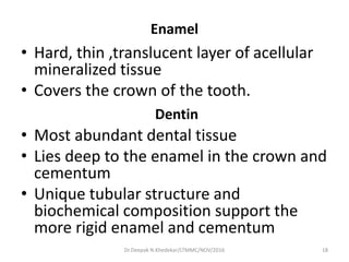 Enamel
• Hard, thin ,translucent layer of acellular
mineralized tissue
• Covers the crown of the tooth.
Dentin
• Most abundant dental tissue
• Lies deep to the enamel in the crown and
cementum
• Unique tubular structure and
biochemical composition support the
more rigid enamel and cementum
18Dr.Deepak N.Khedekar/LTMMC/NOV/2016
 