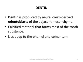 DENTIN
• Dentin is produced by neural crest–derived
odontoblasts of the adjacent mesenchyme.
• Calcified material that forms most of the tooth
substance.
• Lies deep to the enamel and cementum.
25Dr.Deepak N.Khedekar/LTMMC/NOV/2016
 