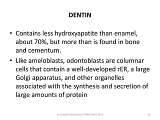 DENTIN
• Contains less hydroxyapatite than enamel,
about 70%, but more than is found in bone
and cementum.
• Like ameloblasts, odontoblasts are columnar
cells that contain a well-developed rER, a large
Golgi apparatus, and other organelles
associated with the synthesis and secretion of
large amounts of protein
Dr.Deepak N.Khedekar/LTMMC/NOV/2016 26
 