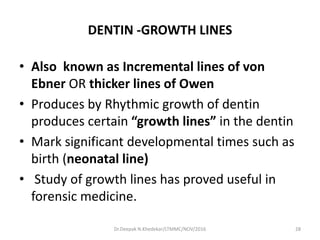 DENTIN -GROWTH LINES
• Also known as Incremental lines of von
Ebner OR thicker lines of Owen
• Produces by Rhythmic growth of dentin
produces certain “growth lines” in the dentin
• Mark significant developmental times such as
birth (neonatal line)
• Study of growth lines has proved useful in
forensic medicine.
Dr.Deepak N.Khedekar/LTMMC/NOV/2016 28
 