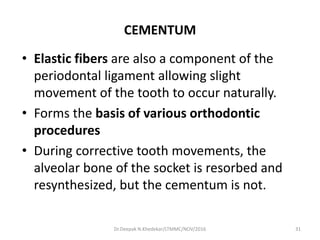 CEMENTUM
• Elastic fibers are also a component of the
periodontal ligament allowing slight
movement of the tooth to occur naturally.
• Forms the basis of various orthodontic
procedures
• During corrective tooth movements, the
alveolar bone of the socket is resorbed and
resynthesized, but the cementum is not.
31Dr.Deepak N.Khedekar/LTMMC/NOV/2016
 