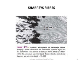 SHARPEYS FIBRES
32Dr.Deepak N.Khedekar/LTMMC/NOV/2016
 