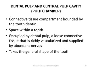 DENTAL PULP AND CENTRAL PULP CAVITY
(PULP CHAMBER)
• Connective tissue compartment bounded by
the tooth dentin.
• Space within a tooth
• Occupied by dental pulp, a loose connective
tissue that is richly vascularized and supplied
by abundant nerves
• Takes the general shape of the tooth
33Dr.Deepak N.Khedekar/LTMMC/NOV/2016
 
