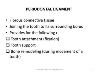 PERIODONTAL LIGAMENT
• Fibrous connective tissue
• Joining the tooth to its surrounding bone.
• Provides for the following :
 Tooth attachment (fixation)
 Tooth support
 Bone remodeling (during movement of a
tooth)
37Dr.Deepak N.Khedekar/LTMMC/NOV/2016
 
