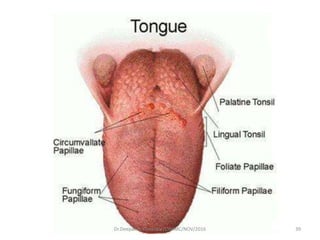 39Dr.Deepak N.Khedekar/LTMMC/NOV/2016
 