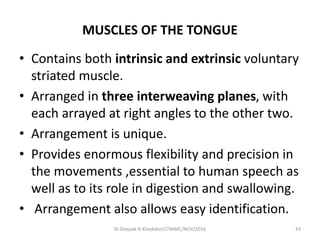 MUSCLES OF THE TONGUE
• Contains both intrinsic and extrinsic voluntary
striated muscle.
• Arranged in three interweaving planes, with
each arrayed at right angles to the other two.
• Arrangement is unique.
• Provides enormous flexibility and precision in
the movements ,essential to human speech as
well as to its role in digestion and swallowing.
• Arrangement also allows easy identification.
43Dr.Deepak N.Khedekar/LTMMC/NOV/2016
 